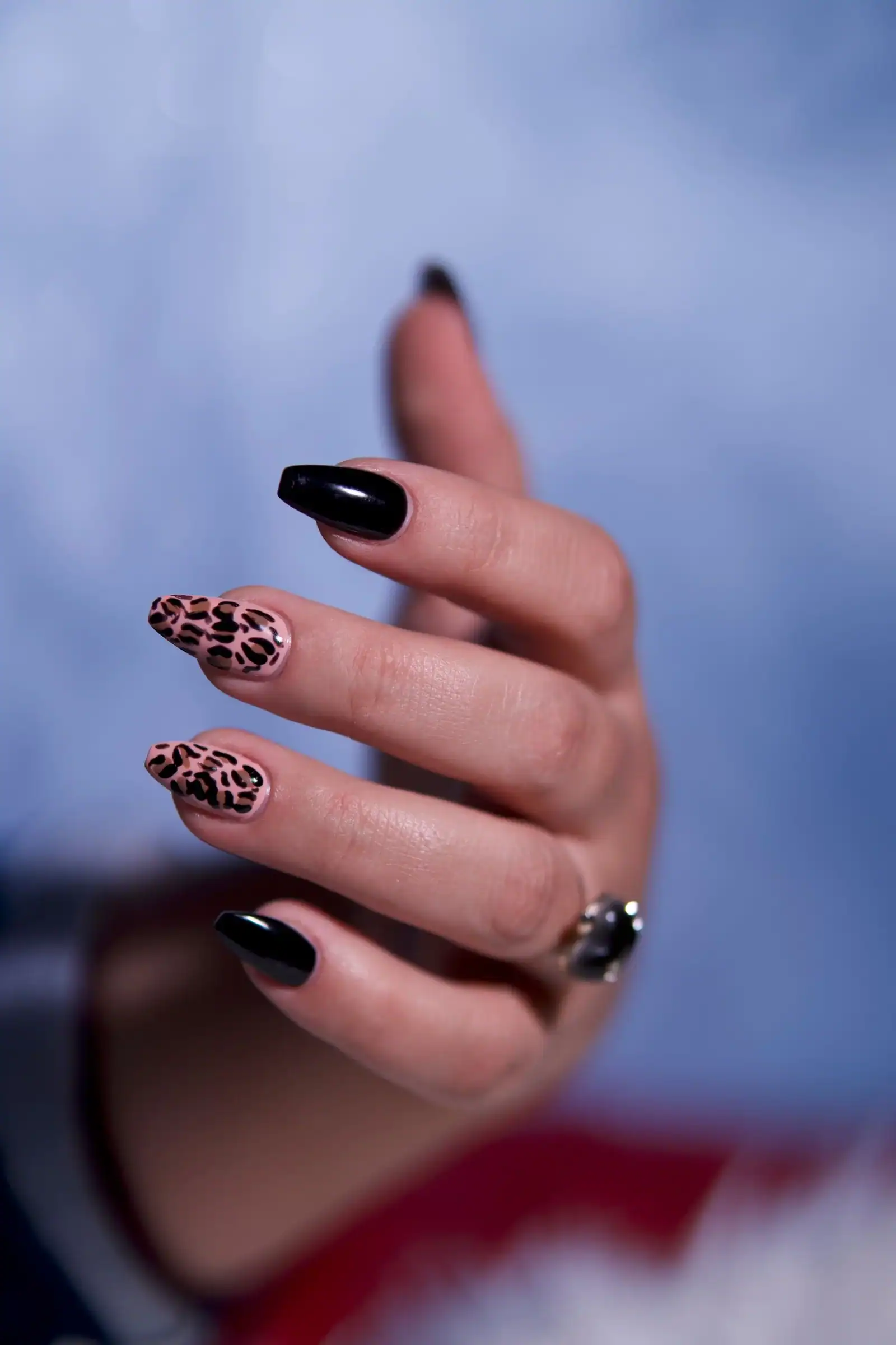 A hand with almond nails in black and leopard print