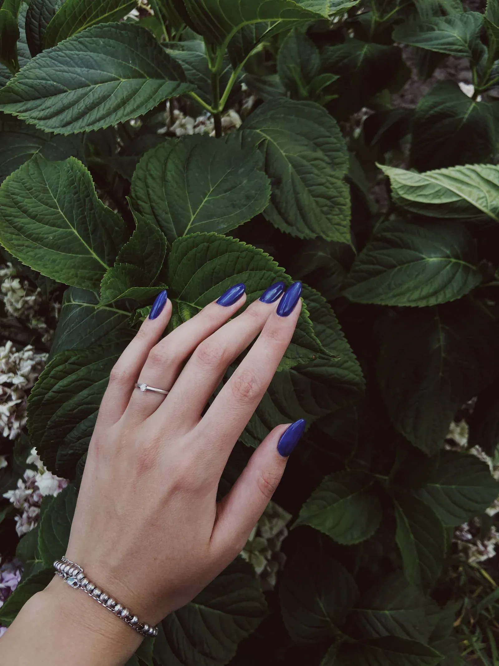 A hand with navy blue nails in front of green leaves