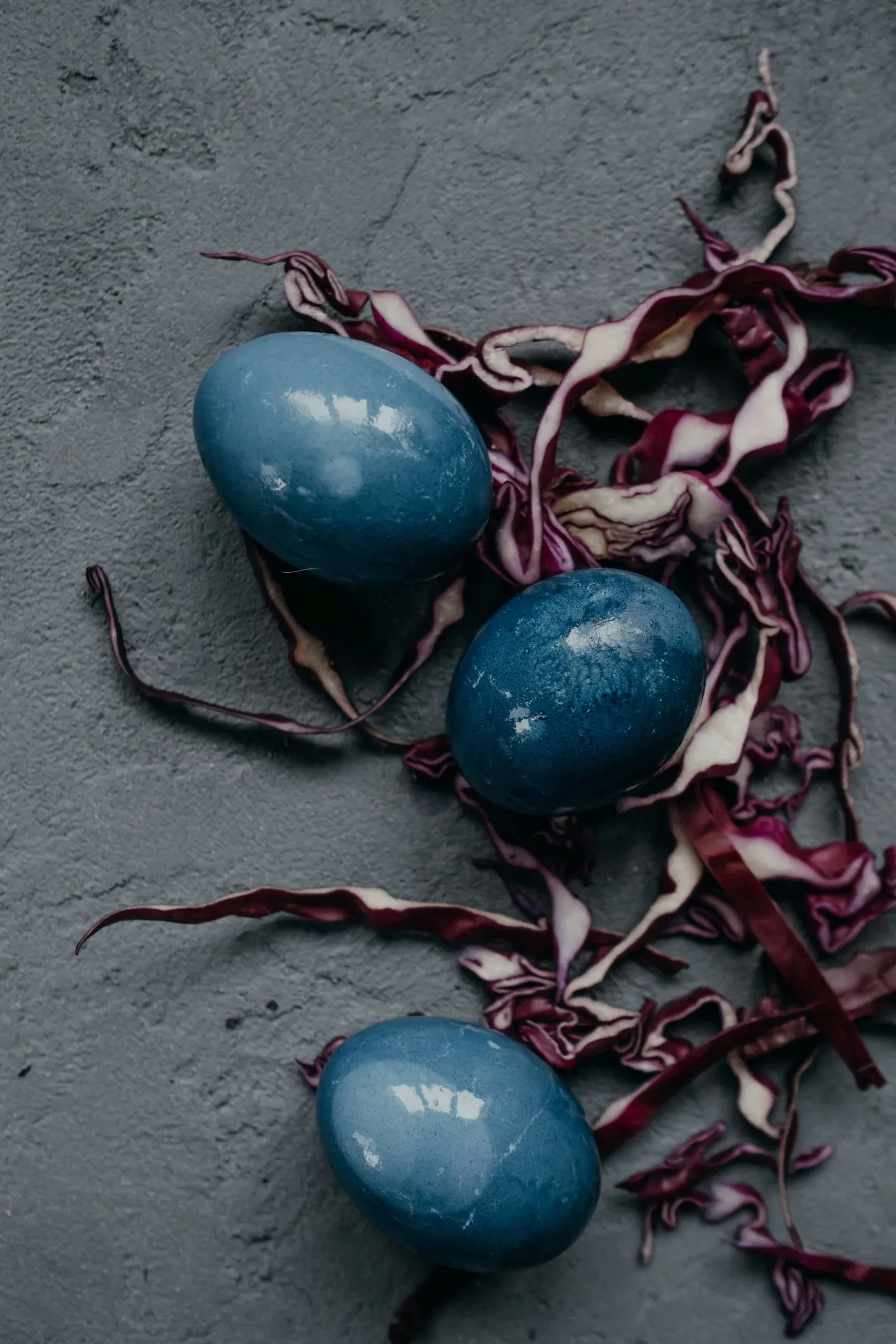 Three blue Easter eggs dyed with red cabbage lying among shredded purple cabbage on a dark slate surface